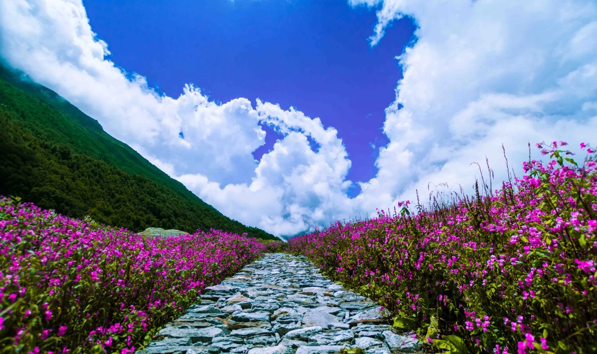 blog__img
